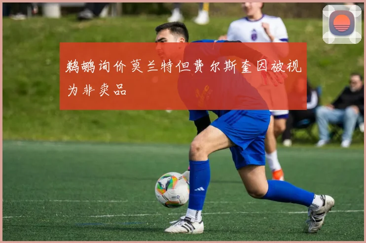 鹈鹕询价莫兰特但费尔斯奎因被视为非卖品