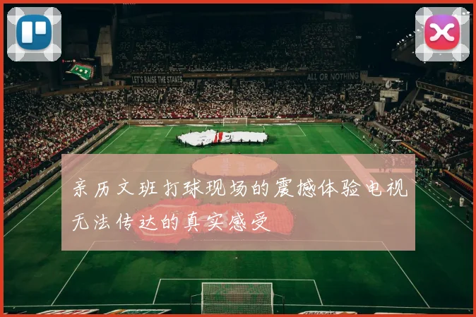 亲历文班打球现场的震撼体验电视无法传达的真实感受