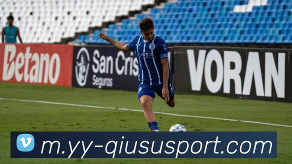 球速体育平台生态图